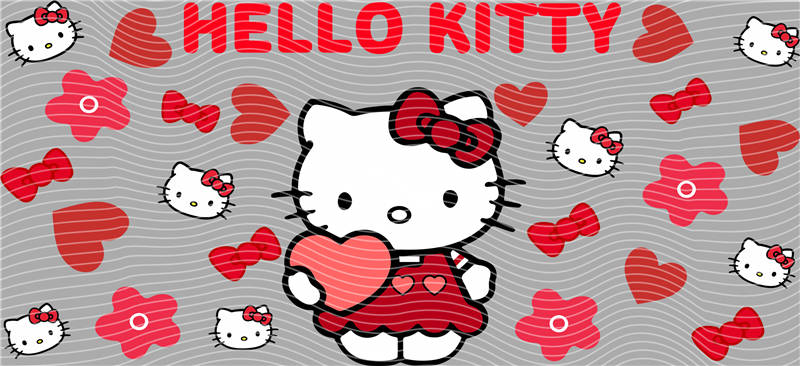 16oz Sanrio-K 233